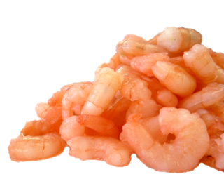 Cooked & Peeled Shrimp All Purpose 10KG