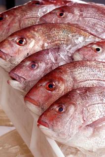Whole Snapper