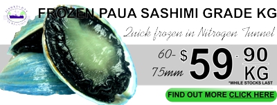 Frozen whole paua