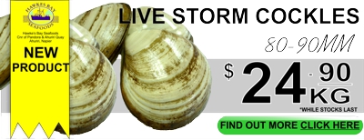 Storm Live clams